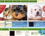 Thiết kế website bán thú cưng