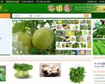Thiết kế web nông sản