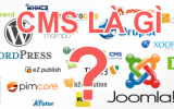 CMS trong website là gì? Các loại CMS phổ biến hiện nay?