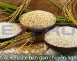 Thiết kế web bán gạo chuyên nghiệp, chất lượng cao