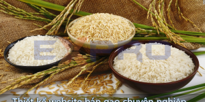 Thiết kế web bán gạo chuyên nghiệp, chất lượng cao