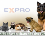 Thiết kế web dịch vụ chăm sóc thú cưng chuyên nghiệp