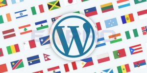 Top 10 plugin đa ngôn ngữ WordPress tốt nhất cho website