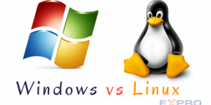 Cách lựa chọn hosting của Windows hay Linux
