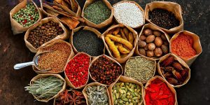 Thiết kế website nhà thuốc đông y bán thảo dược chất lượng giao diện thu hút