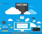 Địa chỉ bán hosting tốc độ cao giá tốt hiện nay