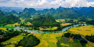 Thiết kế website tại Cao Bằng uy tín giá tốt trên thị trường