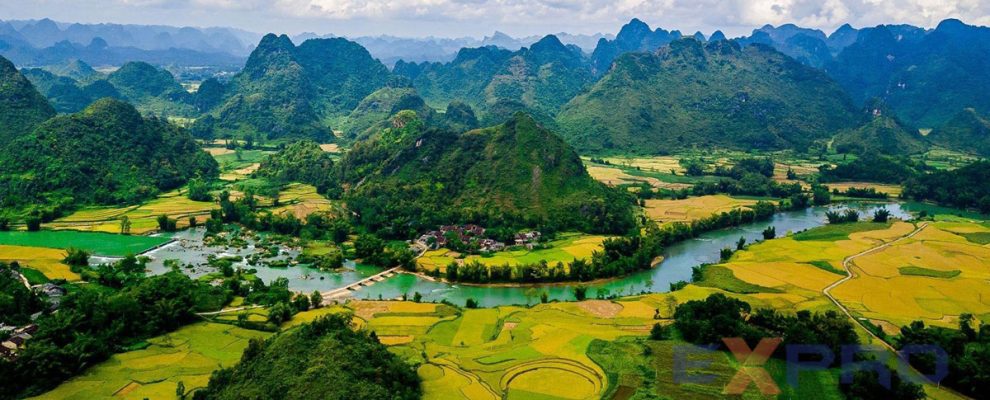 Thiết kế website tại Cao Bằng uy tín giá tốt trên thị trường